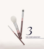 The Complete Brush Set (Plum) Preview Image 5
